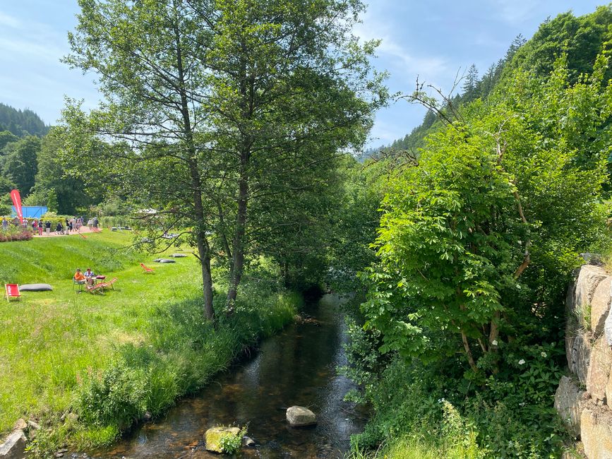 Blick auf den Forbach