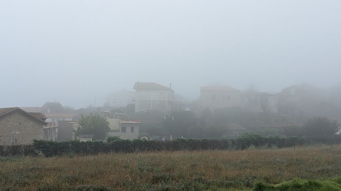 Niebla