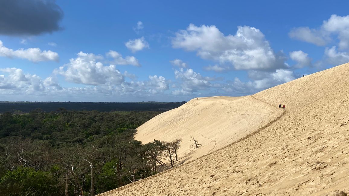 DUNE DU PILAT