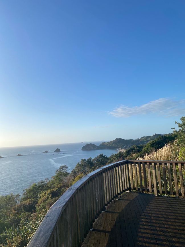 Coromandel loop