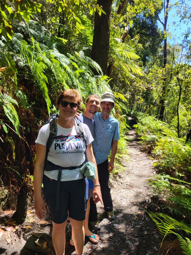 los geht das Wandern in den Blue Mountains....