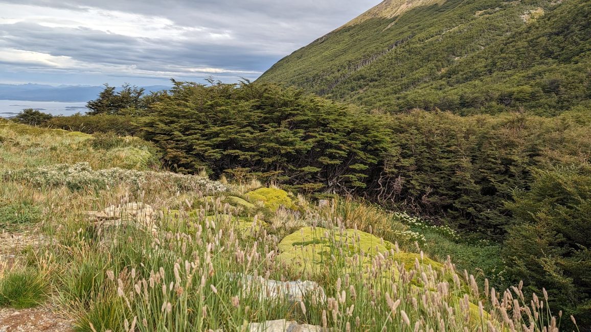 Laguna Esmeralda & Glarcia Martial (Tierra del fuego)