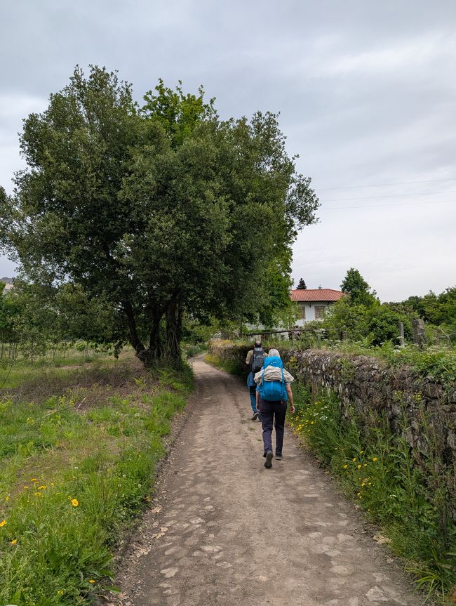 Bilanz auf der Passstraße (Camino Portugues 5)