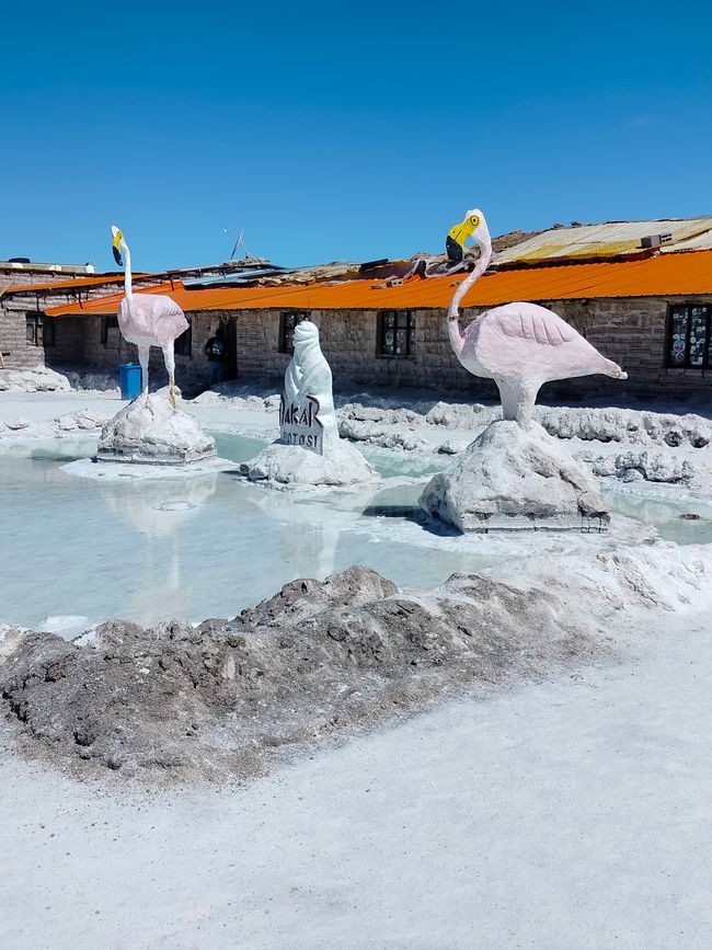 Uyuni - Excursion dans le désert de sel