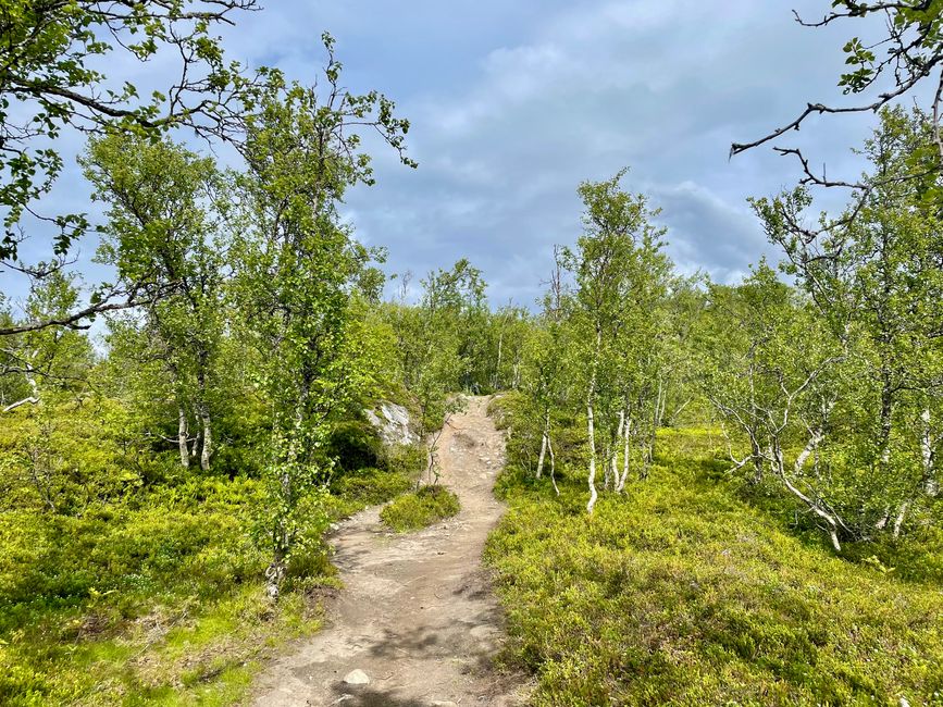 Lovely sun on the “back” of Tromsø