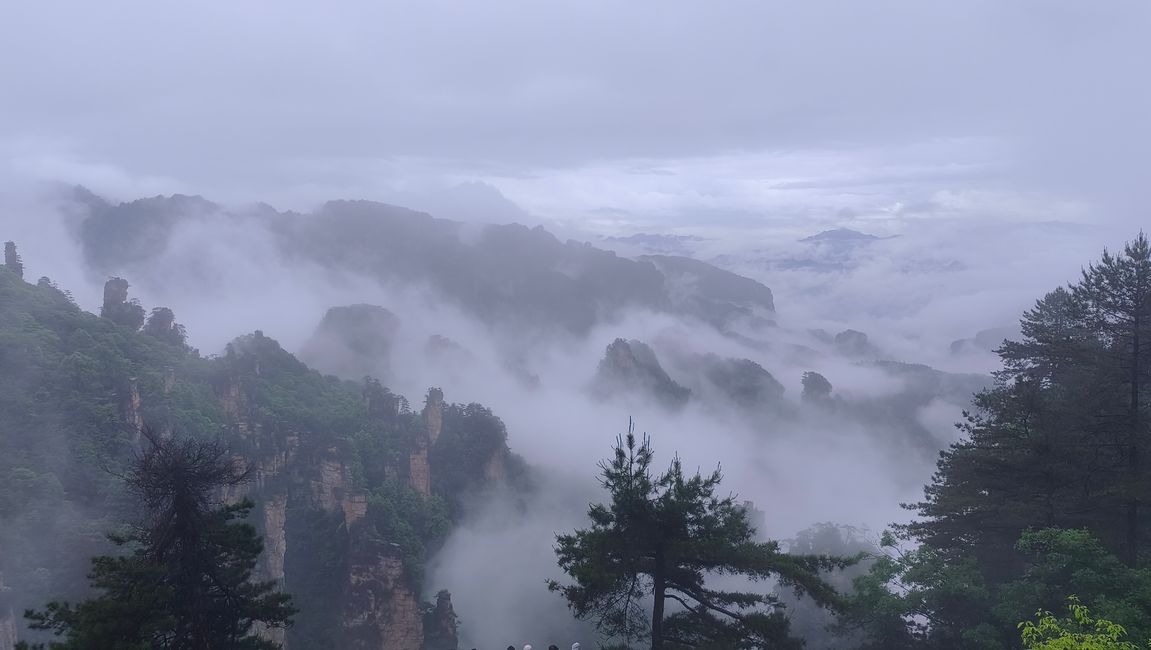 22. Mai.  Naturpark Zhangjiajie