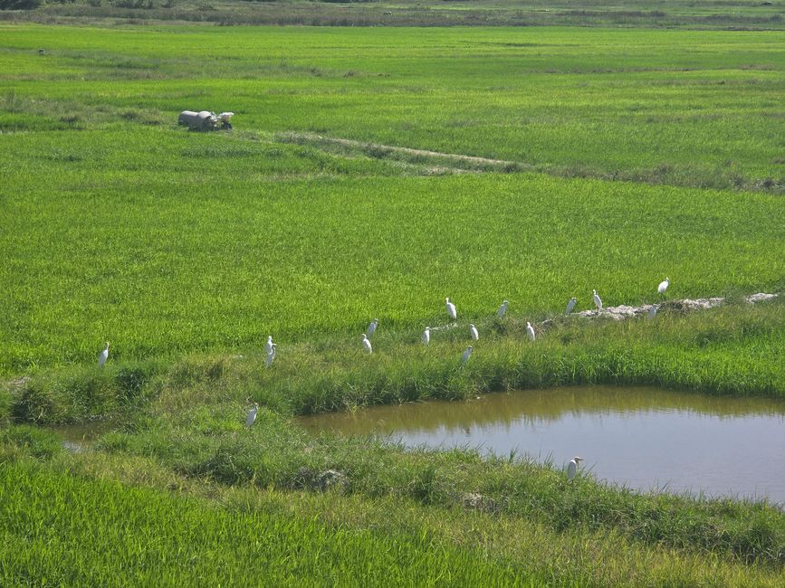 Langkawi - Reif für die Insel!