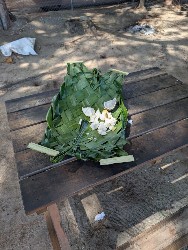 50.Tag 23.2.25 Moorea