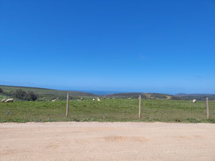 Sagres -> Vila do Bispo