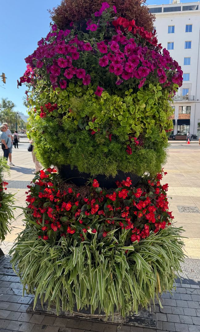 Mit Wohnmobil von Malaga nach Hause