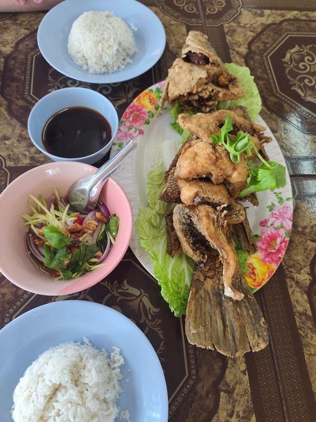 Thailand Teil 7: Weihnachten, Kater & das große Matschloch