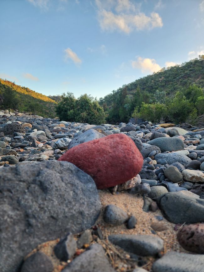Tag 19, 13. May, Porcupine Gorge und Bowling Green Bay National Park (Alligator Creek)