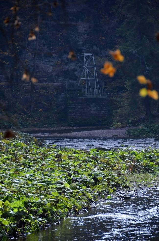 Senderismo de otoño en el Wutachschlucht: rojo, amarillo, naranja... ¡y tú en medio!