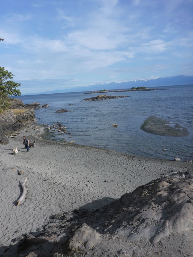 2025-05-21 Vancouver Island Wwoof