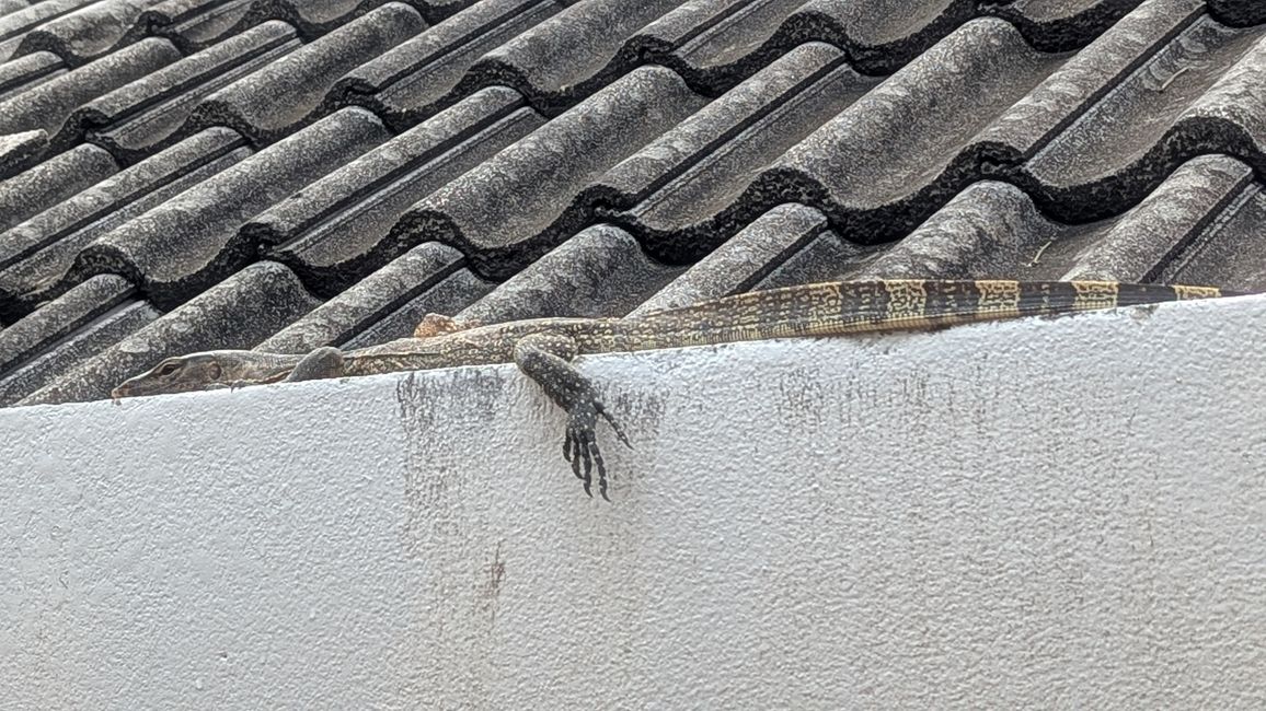 Wir haben die Sonne wiedergesehen.