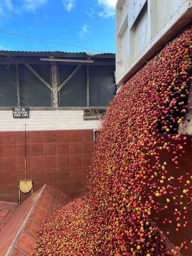 danach aufwendig gewaschen