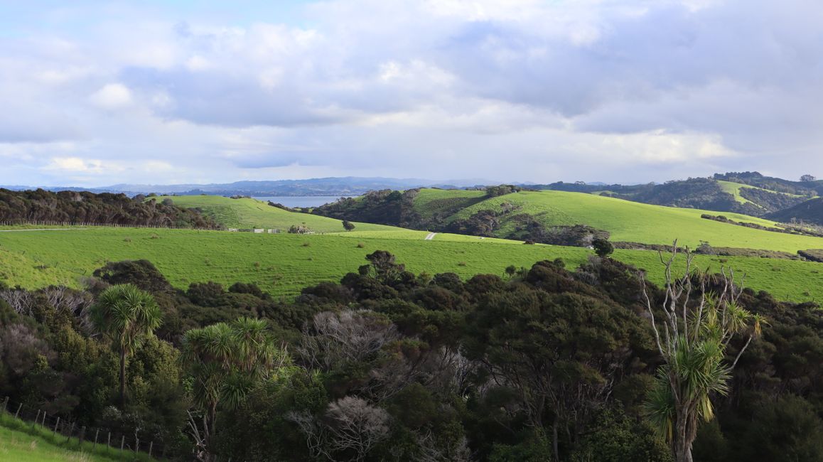Tawharanui Regional Park