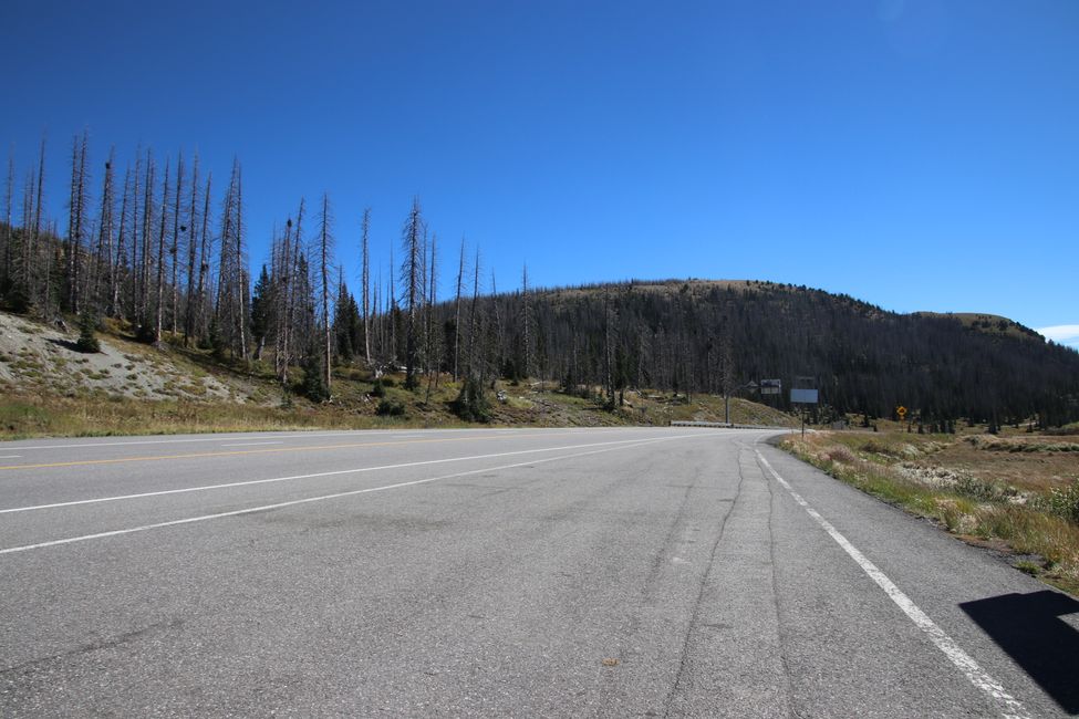 auf dem Wolf Creek Pass