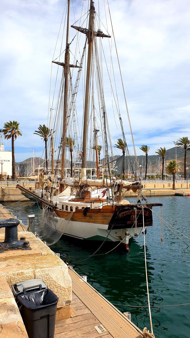 Alicante?...no grazie 609
