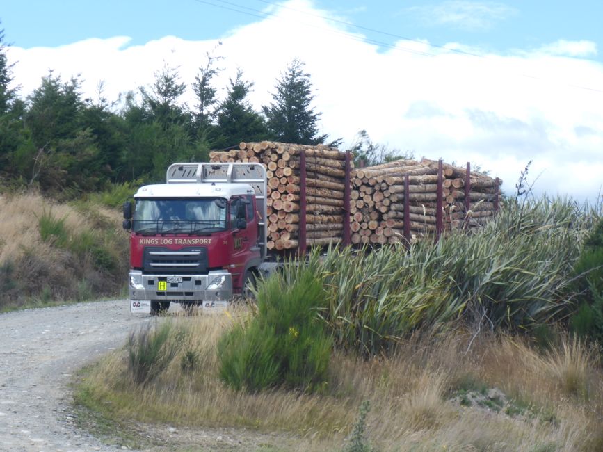 Beaucoup de bois est évacué