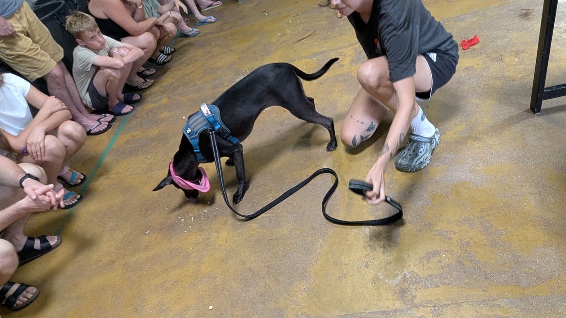 Thailändische Küche