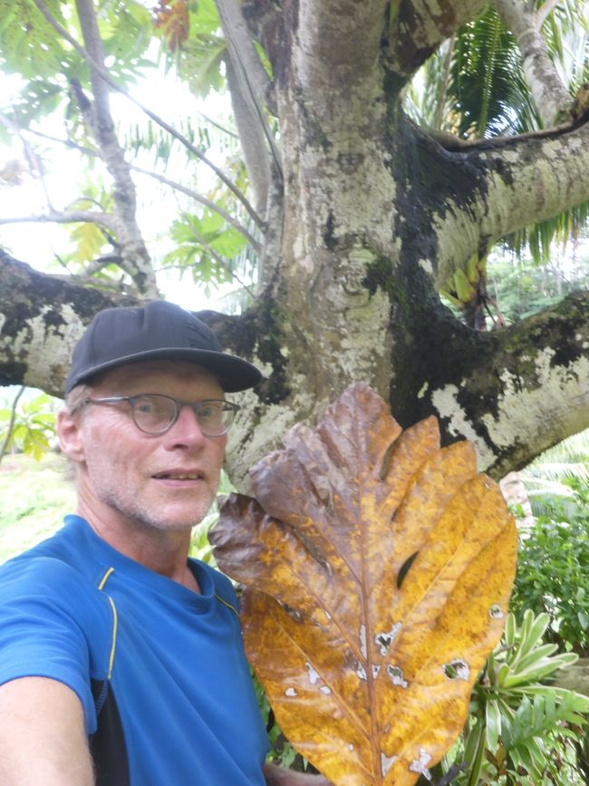 2025-04-23 Tahiti und Huahine
