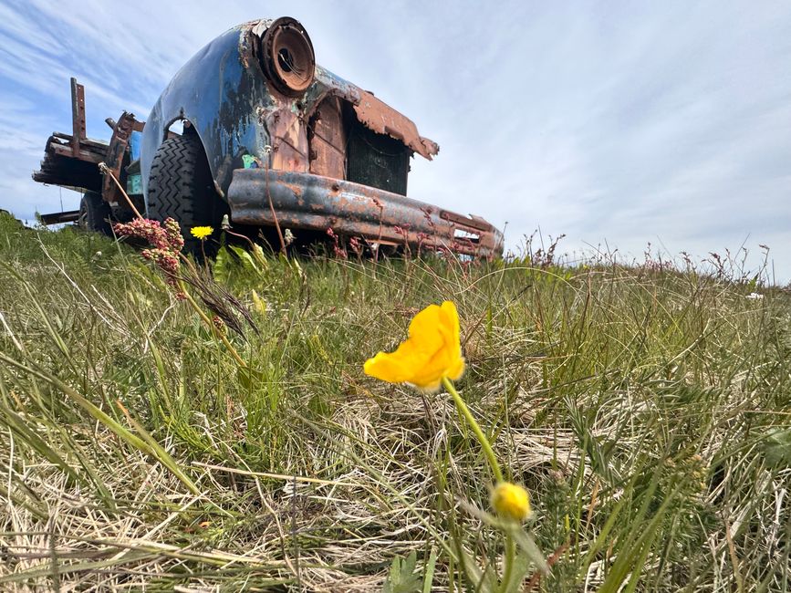 chilliger Tag rund um Selfoss