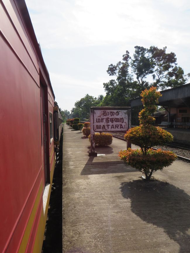 Retour à Negombo - Notre aventure en TukTuk touche à sa fin