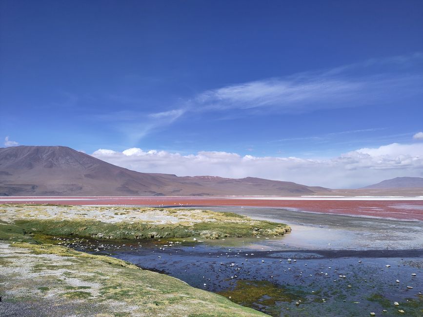 San Pedro und Co.: Wüste, Lagunen und ganz viel Salz 