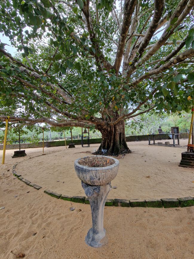 Polonnaruwa - 1000 años de historia y algo aprendido.