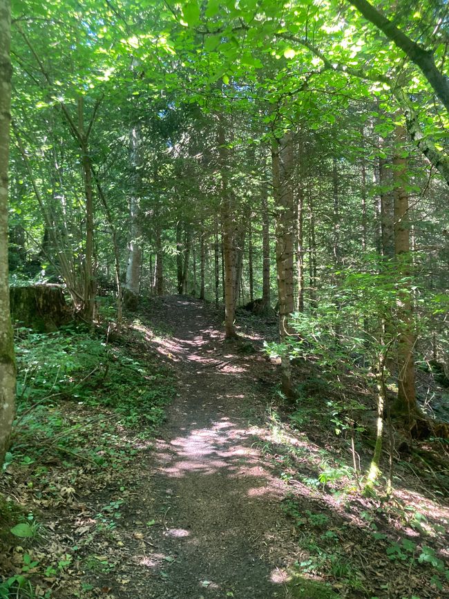 Das Wandern ist des Fischers  Lust-Ellegghöhe