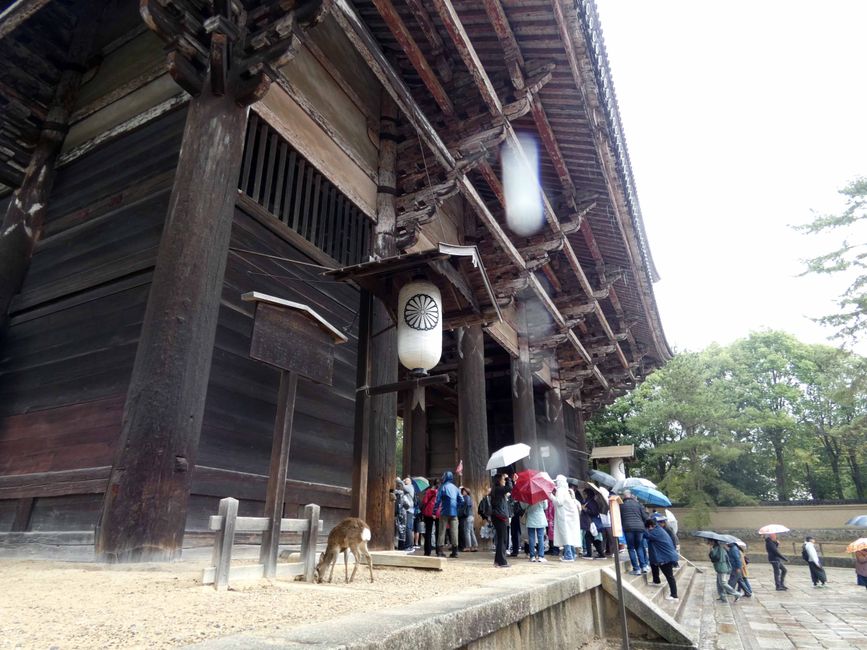 Kōbe and Nara, April 1, 2026