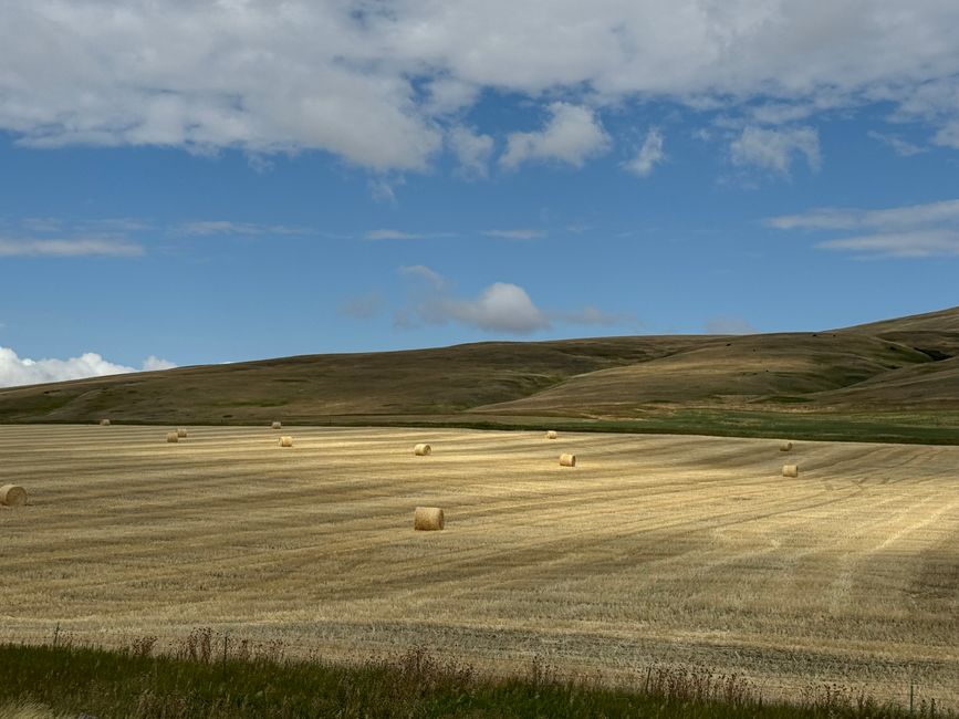 Auf nach Montana