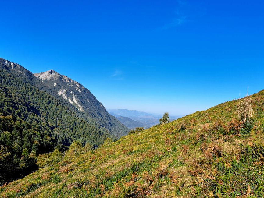 Vista dal Col