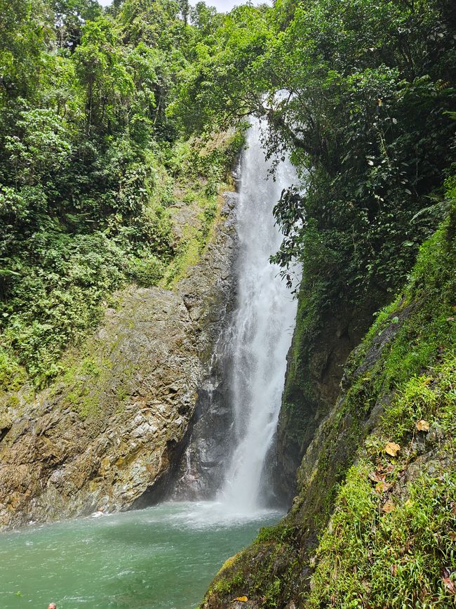 51. Tag Suva, Fiyi 14.01.2026