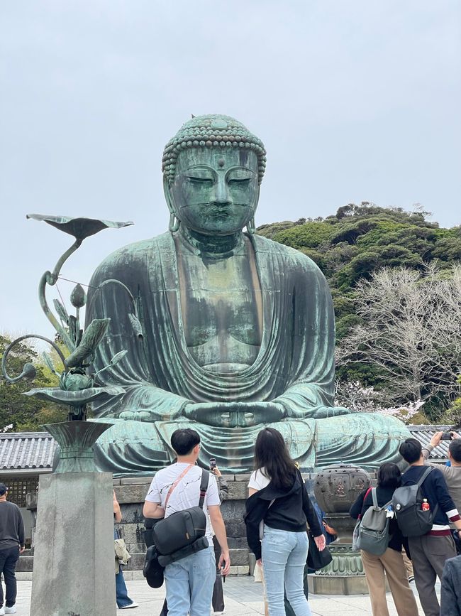Kamakura-Daibutsu Buddha