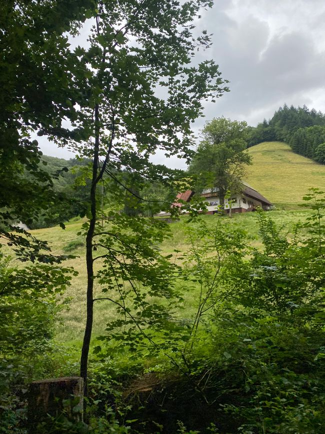 und oben gibt es noch einen weiteren Hof