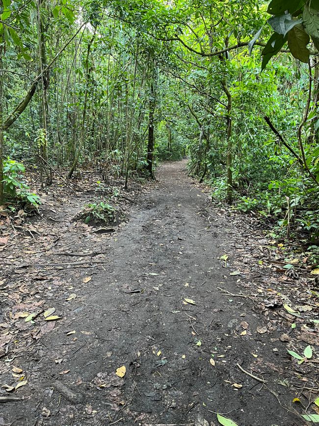 All'uscita dell'Arenal e nel giardino delle erbe