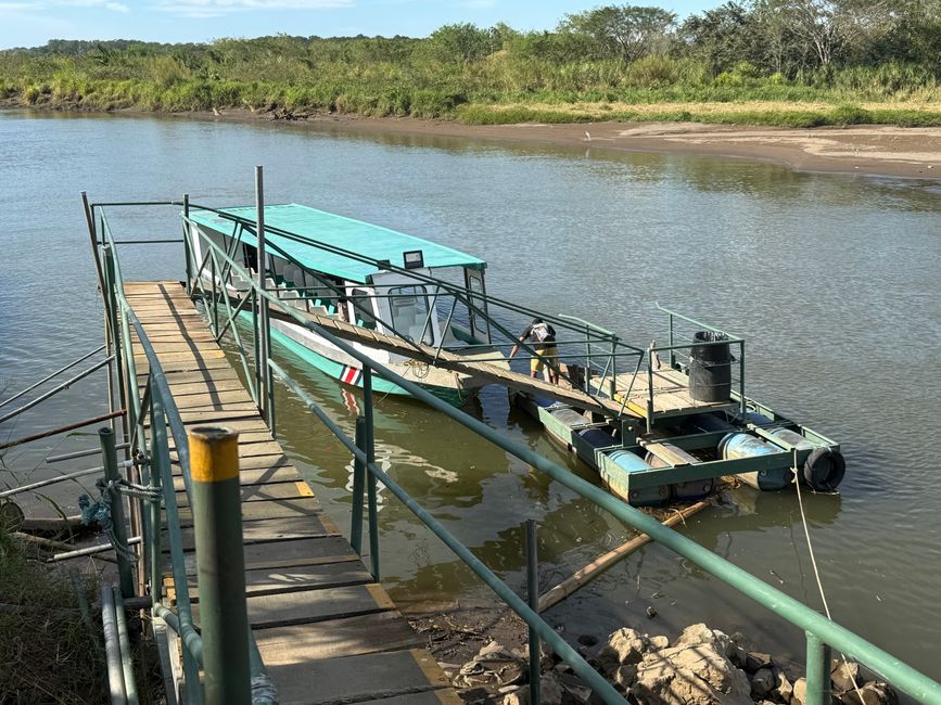 En el Río Tarcoles