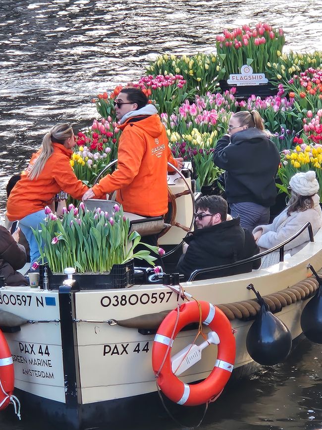 Die Boote fahren zum Tulpentag