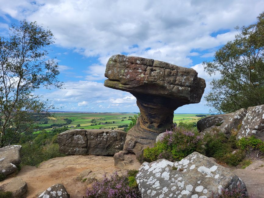 Brimham Rocks