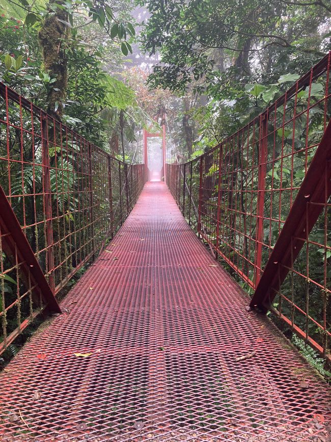 Monteverde