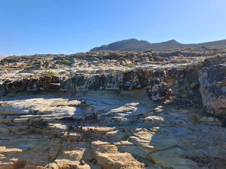 Cabo de Buena Esperanza + Playa de Boulders