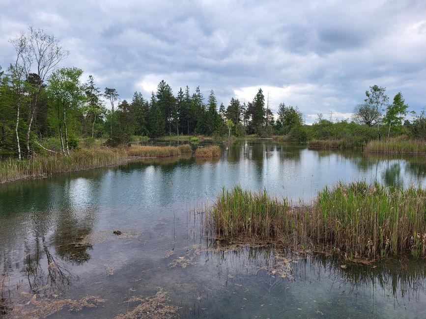 Wurzacher Ried