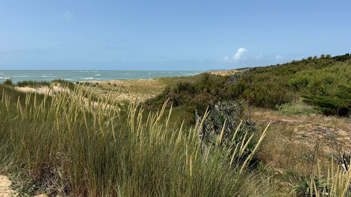 En la Isla de Ré