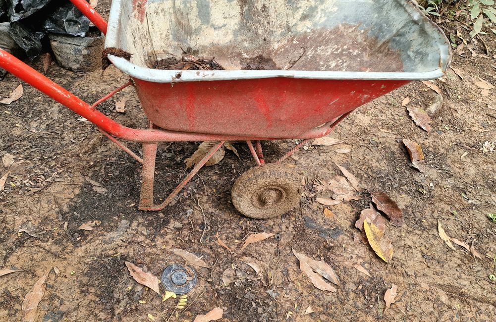 Wie 'ne Landmine sieht's aus...wer entdeckt's