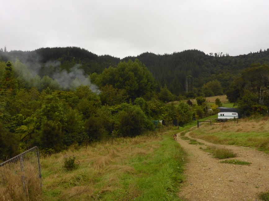 2025-03-16 WWOOF 2, Hokitika at Joan's