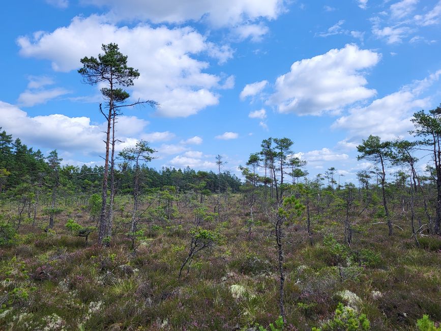 Store Mosse Nationalpark