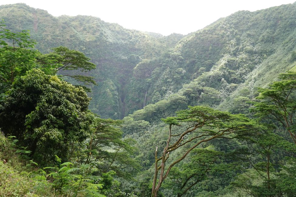 Nuku Hiva ....