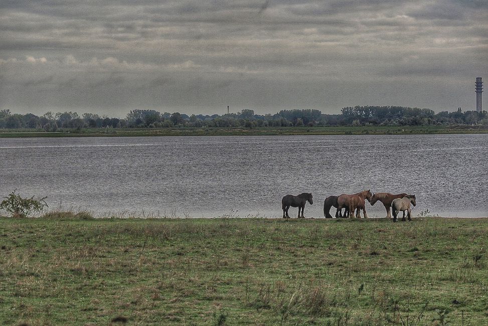 Die Maas und ihre Seenlandschaften